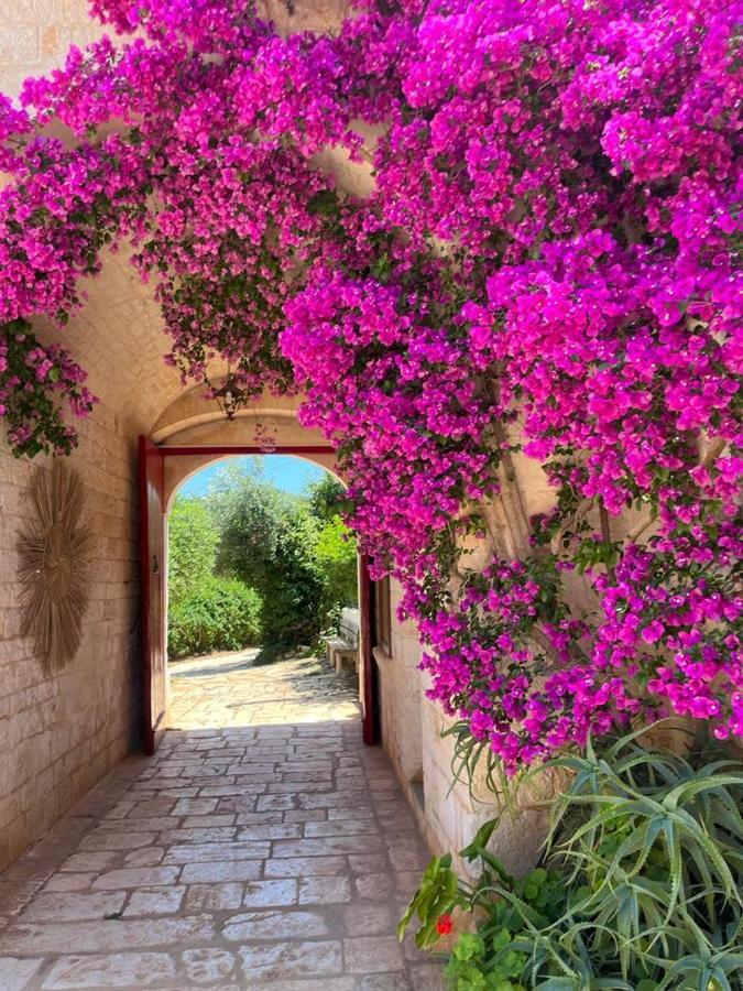 Masseria Morrone Ostuni