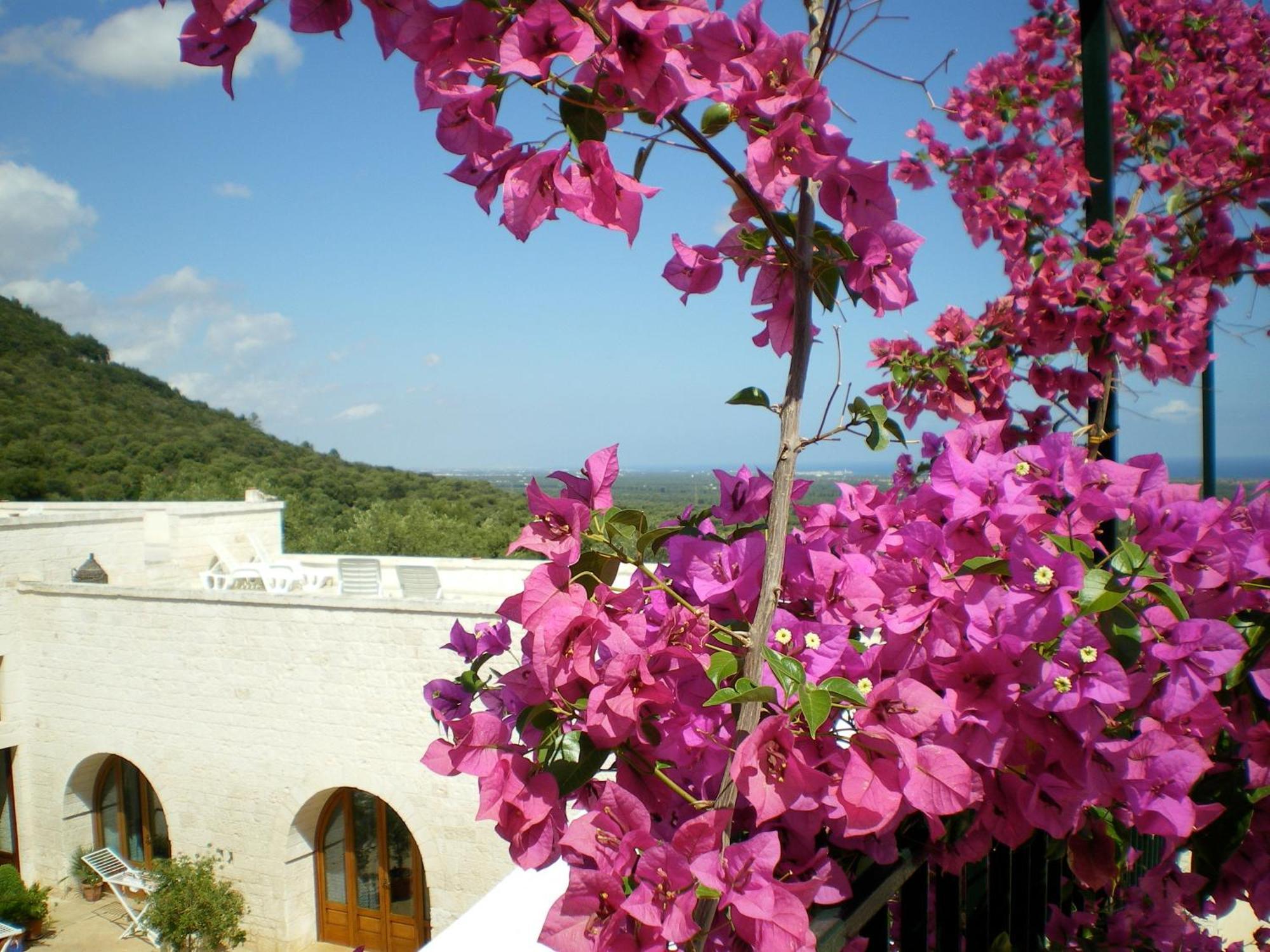 Masseria Morrone