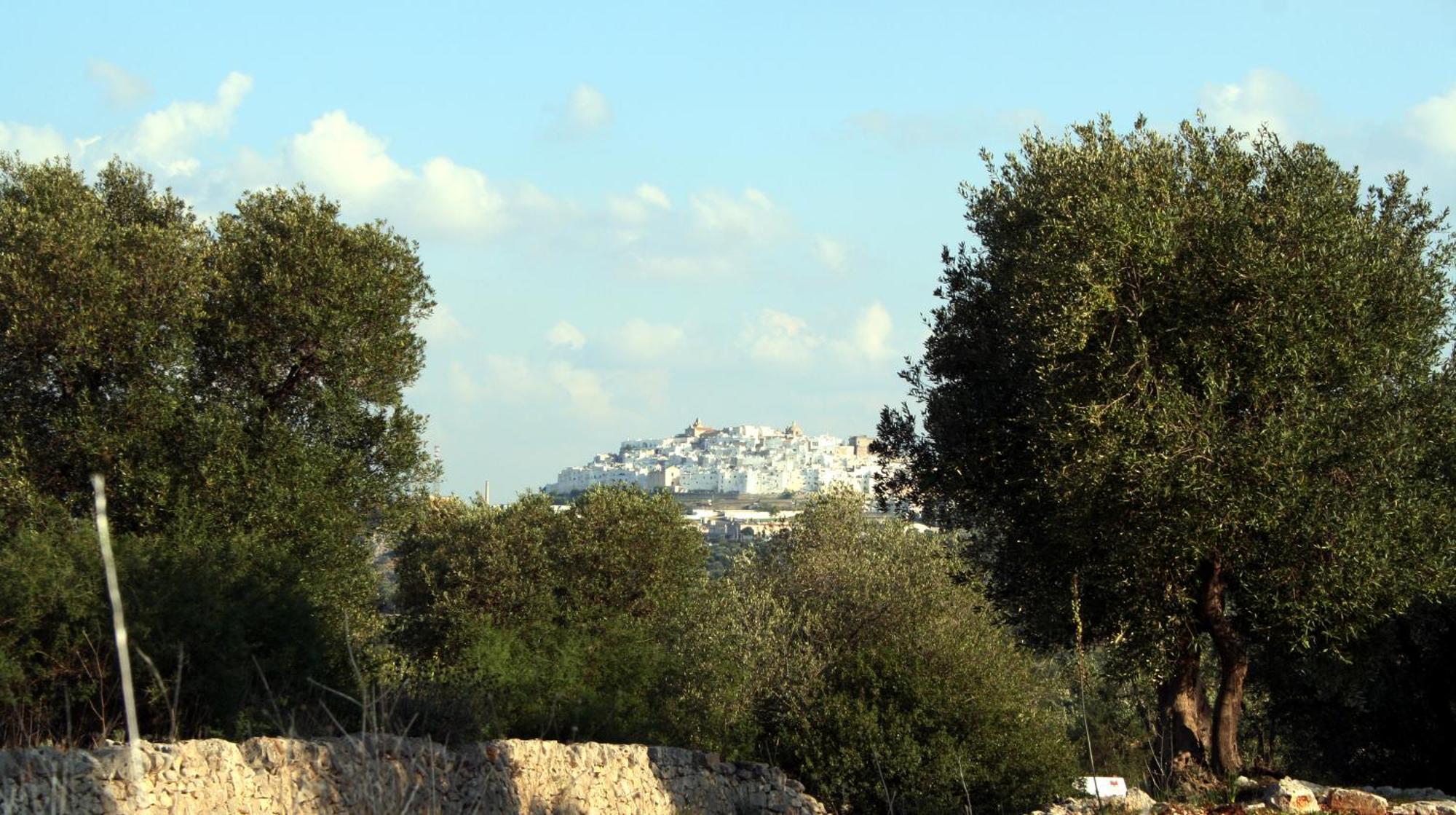Masseria Morrone Ostuni