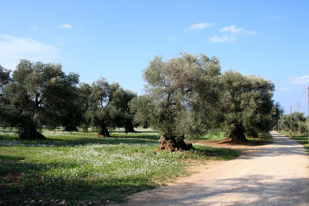 Masseria Morrone *